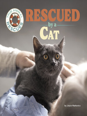 cover image of Rescued by a Cat